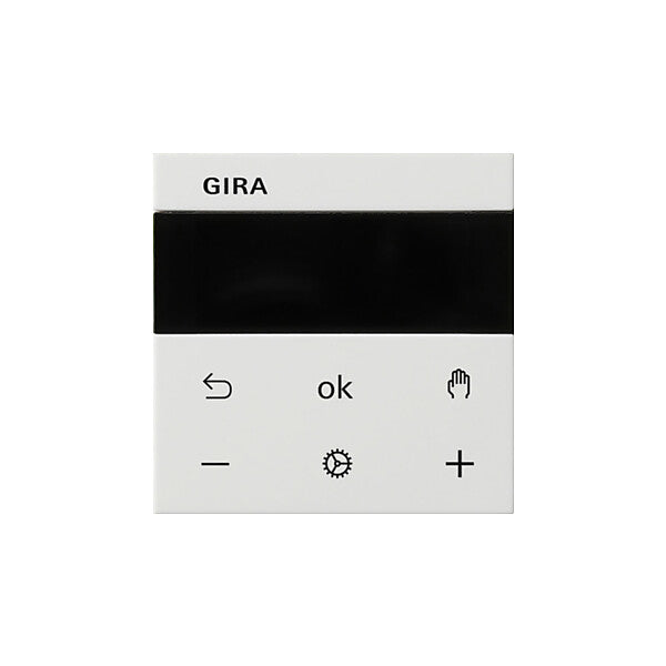 Gira RTR Display rws 539303